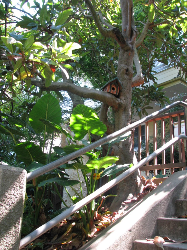 2013 09 10 SF Filbert Stairs (13)