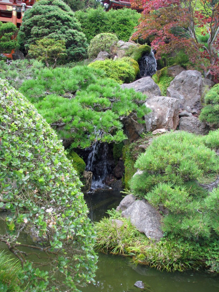 2013 09 12 SF Garden Gate Park Japanese Tea Garden (17)