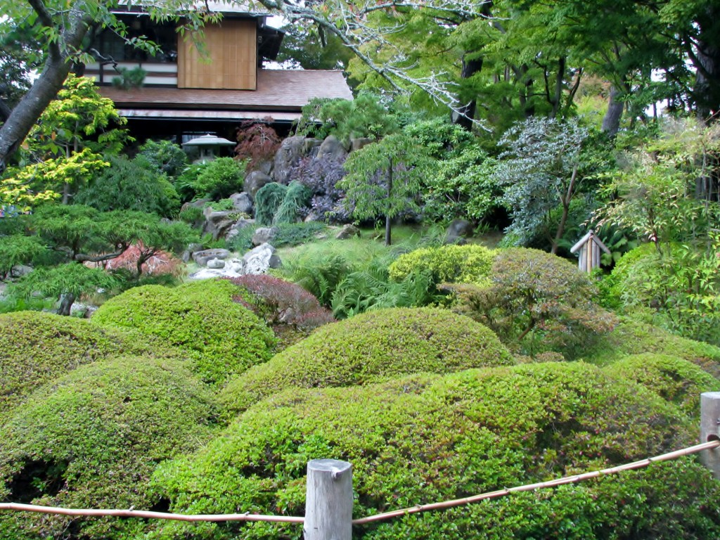 2013 09 12 SF Garden Gate Park Japanese Tea Garden (3)
