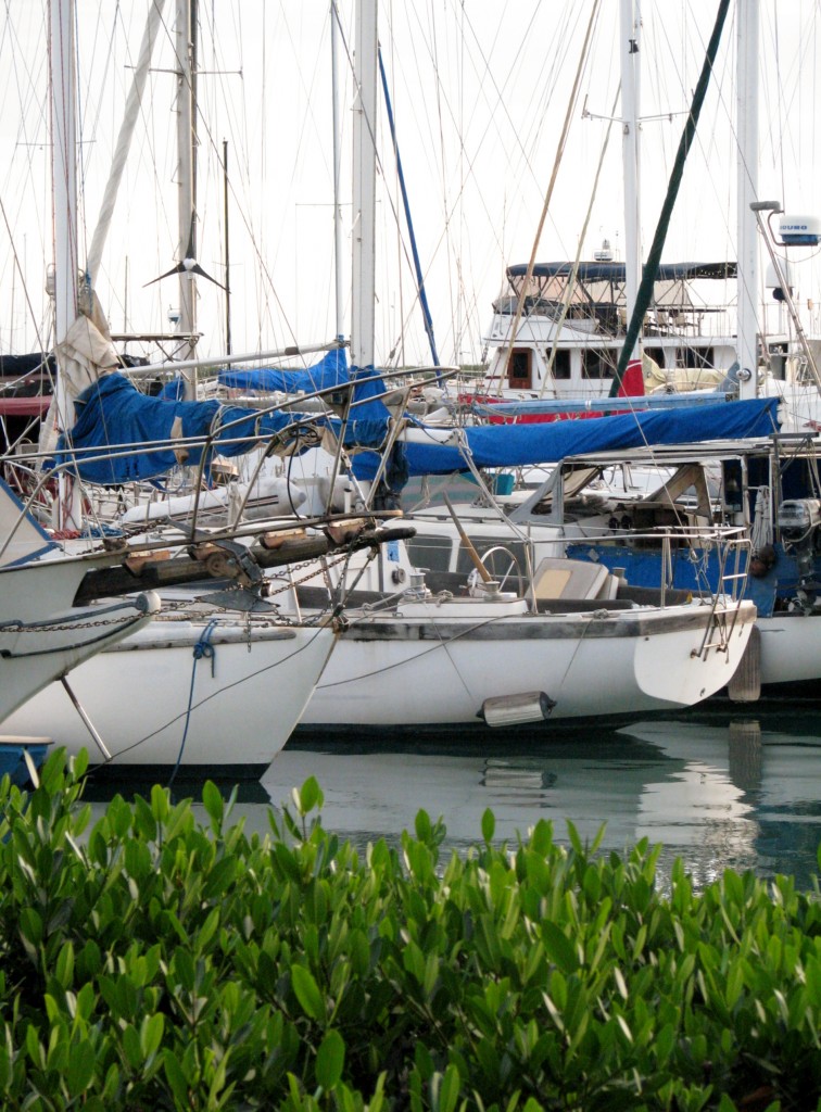 2013 10 29 Hawaii LaMariana Restaurant & Bar Sail Boats