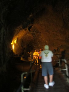 2013 11 05 Hawaii NCL Pride of America Day 4 Hilo Thurston Lava Tube (1)