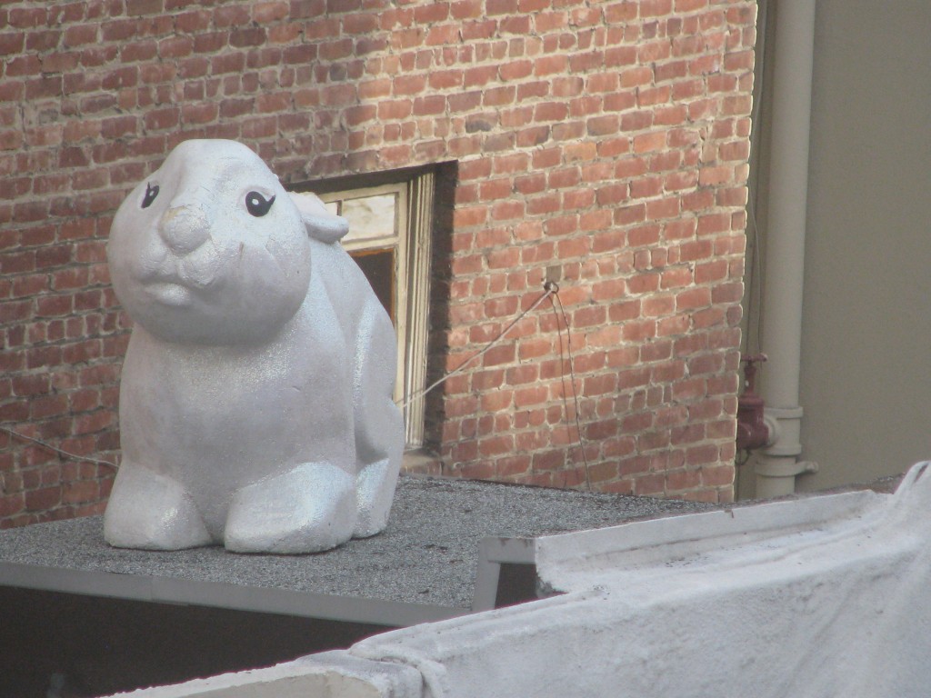 2013 09 10 SF Bunny on Roof (1)