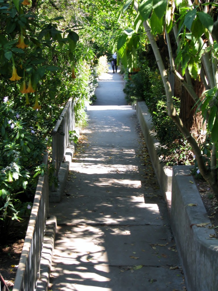 2013 09 10 SF Filbert Stairs (10)