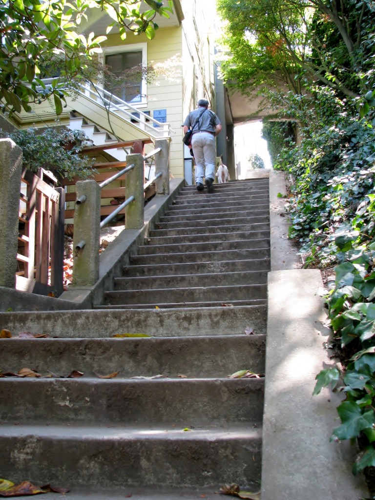 2013 09 10 SF Filbert Stairs (14)