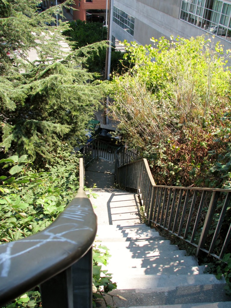 Filbert Steps is one of the most famous stairways in San Francisco in North Beach on eastern part of Telegraph Hill. 400 brick, cement, and wooden steps are surrounded by beautiful gardens along the way, quaintcottage.