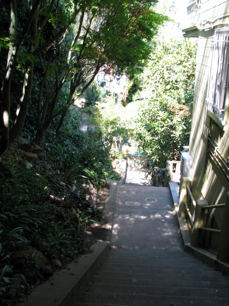 2013 09 10 SF Filbert Stairs (18)