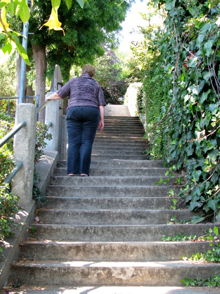 2013 09 10 SF Filbert Stairs (24)