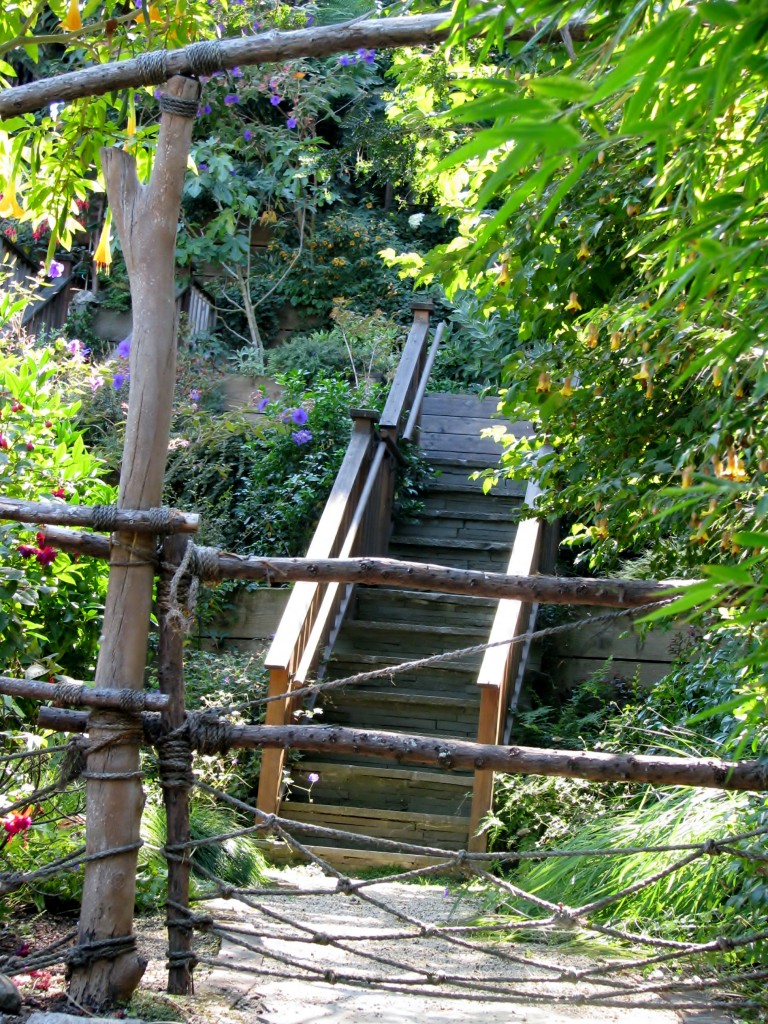 2013 09 10 SF Filbert Stairs (6)