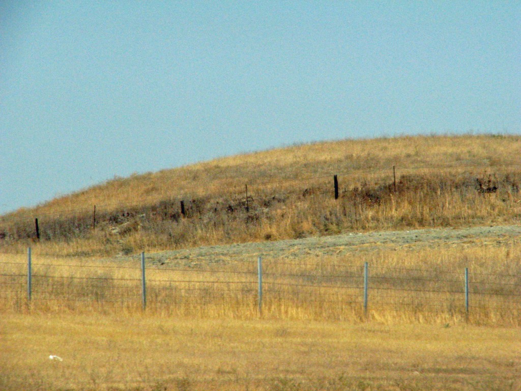 2013 09 13 SF Road to Mt Shasta (23)