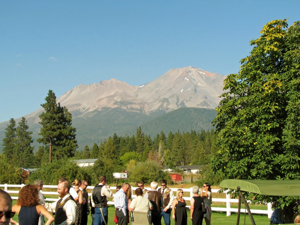 2013 09 14 Haisting Veltum Wedding (7)