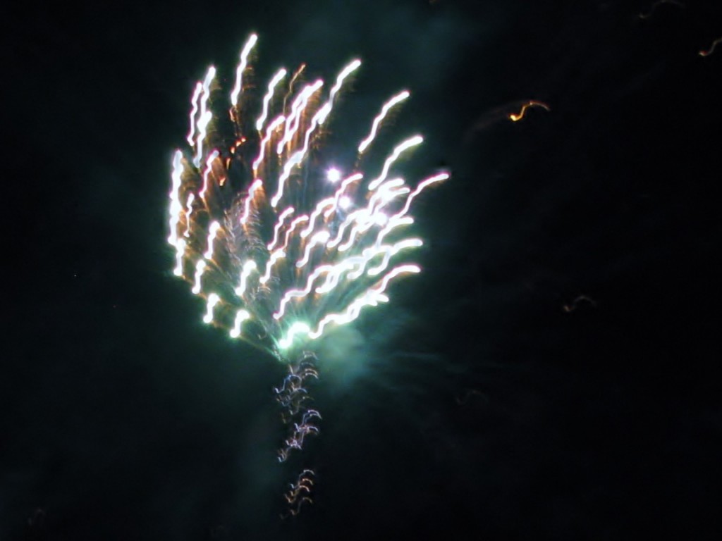 2013 09 14 Haisting Veltum Wedding Reception Fireworks (2)