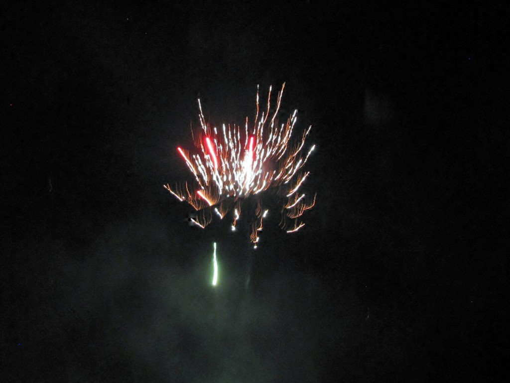 2013 09 14 Haisting Veltum Wedding Reception Fireworks (7)