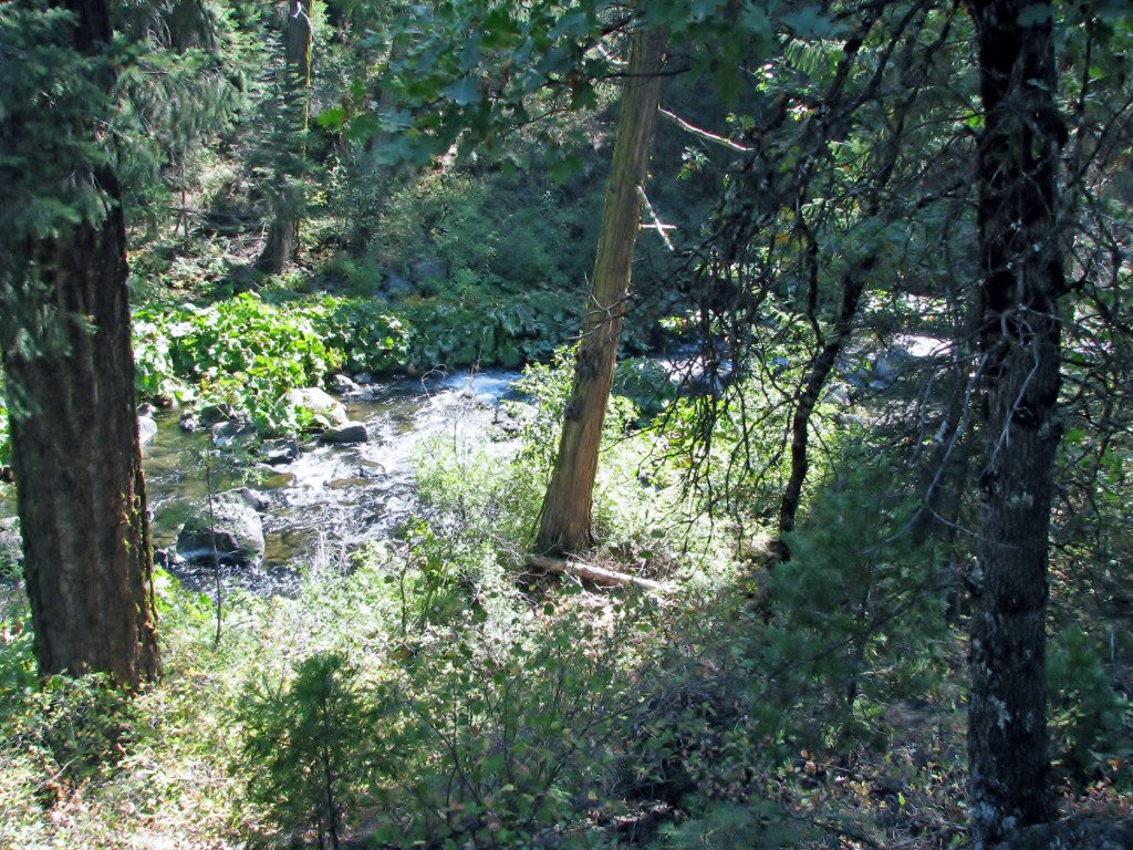 2013 09 14 Shasta Trinity National Park Forests Falls (13)