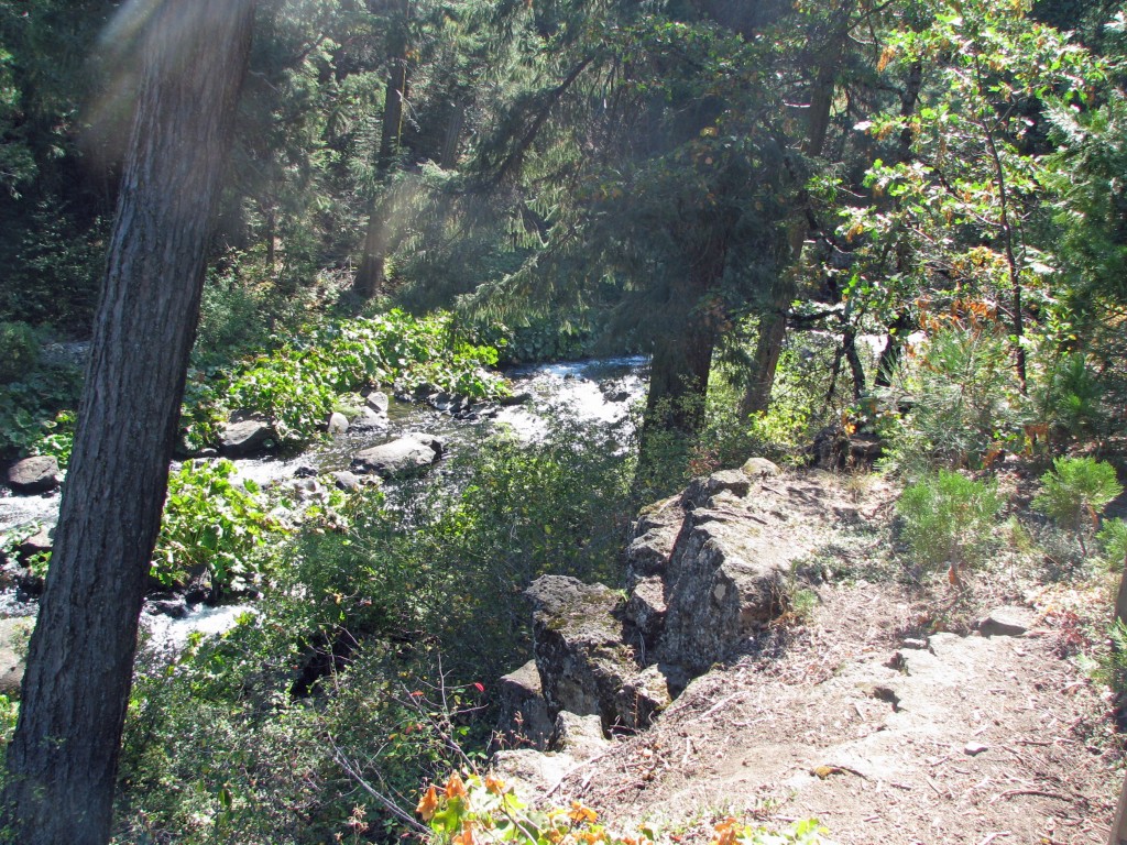 2013 09 14 Shasta Trinity National Park Forests Falls (15)