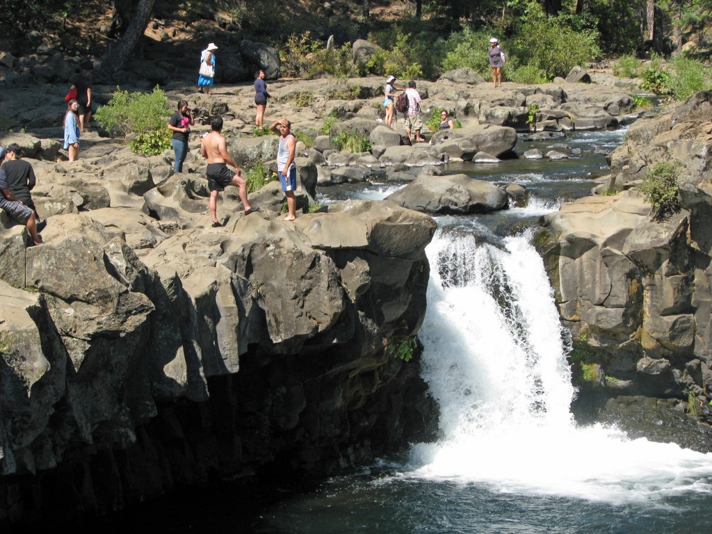 2013 09 14 Shasta Trinity National Park Forests Falls (4)