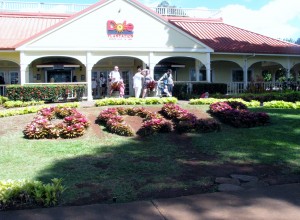2013 10 29 Hawaii Dole Plantation (16)