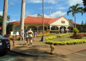 2013 10 29 Hawaii Dole Plantation (7)