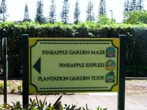 2013 10 29 Hawaii Dole Plantation SignsDirectional