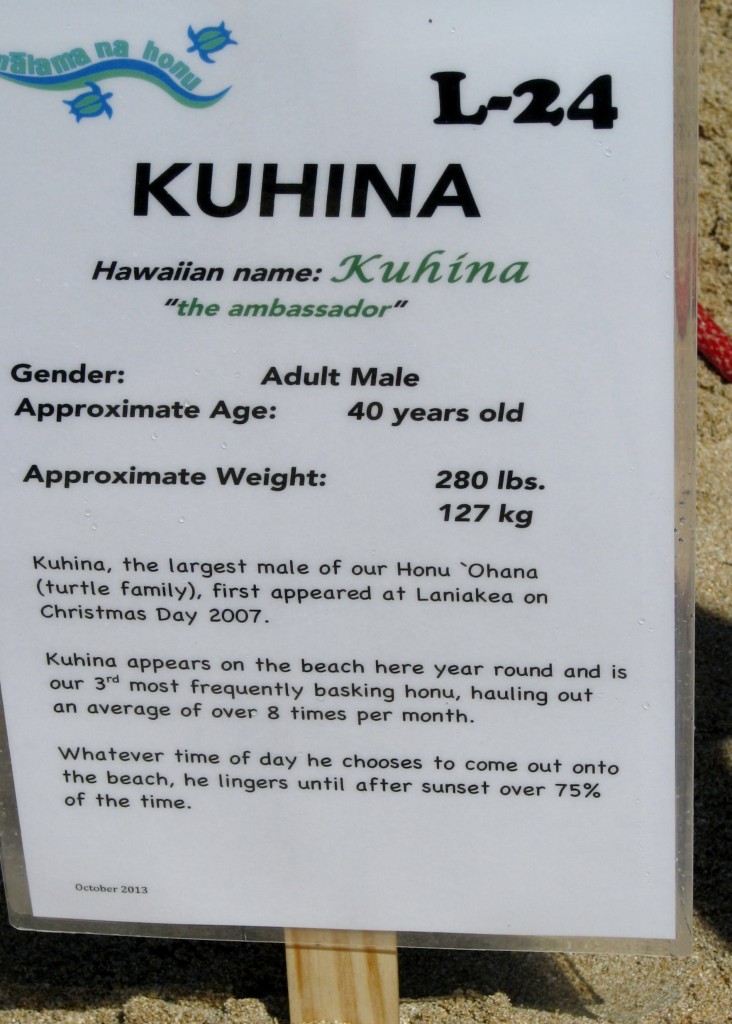 2013 10 29 Hawaii Honolulu Turtle Bay Turtle Kuhina Sign