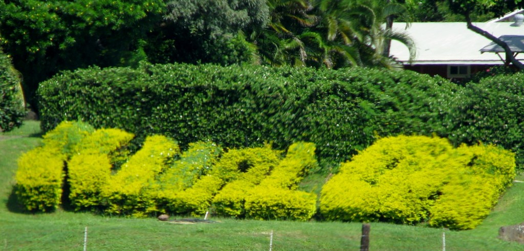 2013 10 29 Hawaii Kualoa Regional Park Ranch