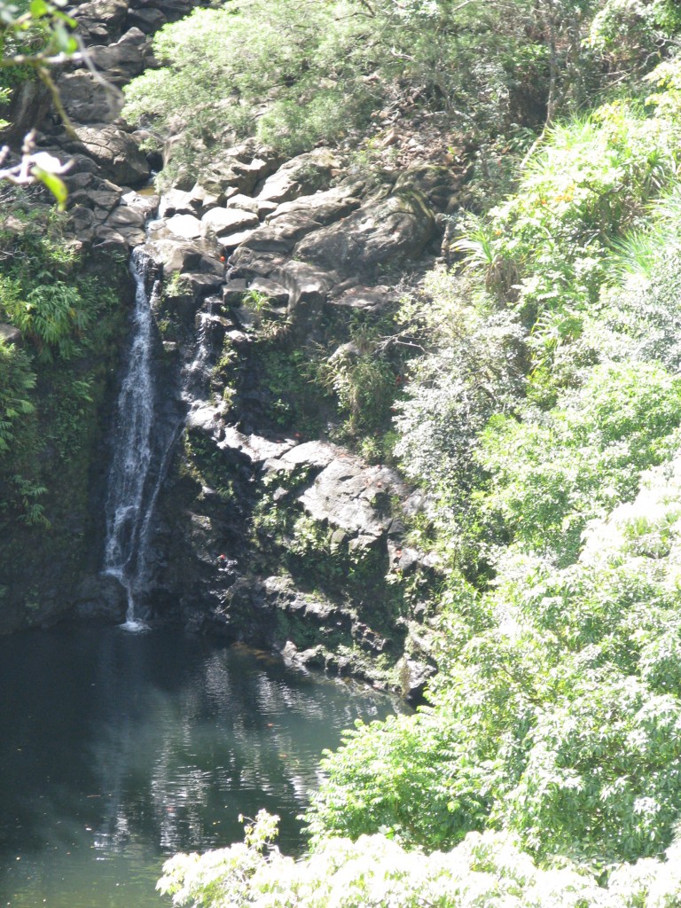 2013 11 03 Hawaii Pride of America Day 02 Kahului, Maui Road to Hana Garden of Eden (40)