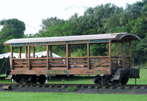 2013 11 07 Hawaii NCL Pride of America Day 6 Kauai Luau Kalamaku Plantation Train Ride (12)