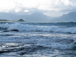 2013 10 28 Hawaii Marine Corps Base Kaneohe Bay Beach (8)