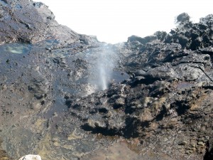 414 2013 11 12 Hawaii Blow Hole (9)
