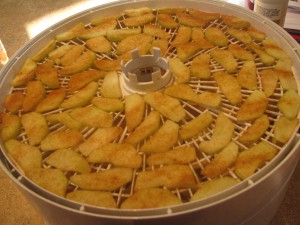 2014 08 23 Dehydrating Apples (4)