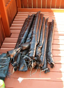 2014 09 06 Pool Closing Supplies (1)
