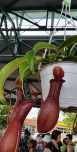 20150725_091330