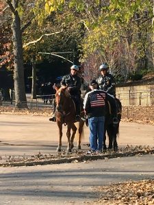 2015-11-25-new-york-mounted-police-central-park-mounted-police-2