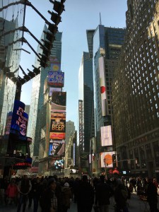 2015 11 25 New York Times Square (4)