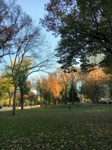 2015 11 25 New York Central Park (3)
