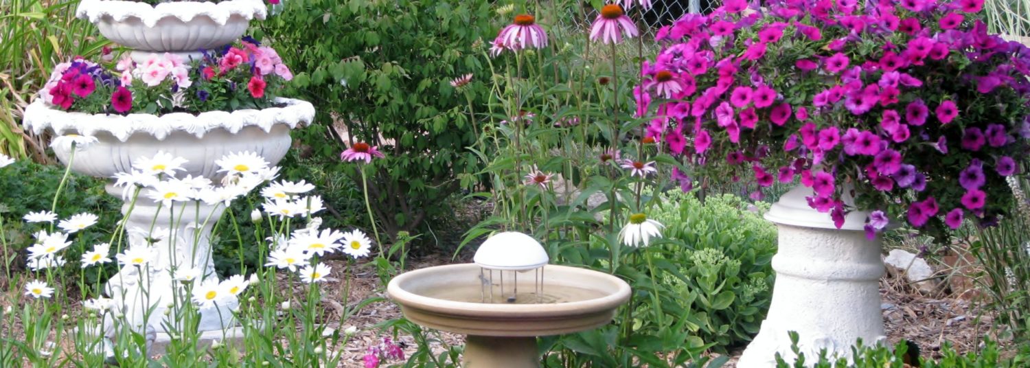 Nana's Backyard Thoughts